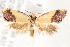 ( - BIOUG19453-G05)  @14 [ ] CreativeCommons - Attribution (2015) CBG Photography Group Centre for Biodiversity Genomics