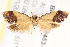  ( - BIOUG19453-G07)  @13 [ ] CreativeCommons - Attribution (2015) CBG Photography Group Centre for Biodiversity Genomics