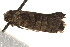  ( - BIOUG19526-D01)  @13 [ ] CreativeCommons - Attribution (2015) CBG Photography Group Centre for Biodiversity Genomics