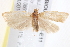  ( - BIOUG19648-E11)  @13 [ ] CreativeCommons - Attribution (2015) CBG Photography Group Centre for Biodiversity Genomics