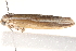  ( - BIOUG19649-D12)  @12 [ ] CreativeCommons - Attribution (2015) CBG Photography Group Centre for Biodiversity Genomics
