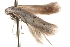  ( - BIOUG19649-F04)  @12 [ ] CreativeCommons - Attribution (2015) CBG Photography Group Centre for Biodiversity Genomics