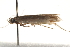  ( - BIOUG19649-F08)  @12 [ ] CreativeCommons - Attribution (2015) CBG Photography Group Centre for Biodiversity Genomics