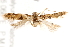  ( - BIOUG19650-H11)  @13 [ ] CreativeCommons - Attribution (2015) CBG Photography Group Centre for Biodiversity Genomics