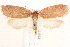  ( - BIOUG19952-A03)  @12 [ ] CreativeCommons - Attribution (2015) CBG Photography Group Centre for Biodiversity Genomics