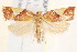  ( - BIOUG19952-E02)  @13 [ ] CreativeCommons - Attribution (2015) CBG Photography Group Centre for Biodiversity Genomics