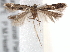  ( - BIOUG19954-A02)  @14 [ ] CreativeCommons - Attribution (2015) CBG Photography Group Centre for Biodiversity Genomics