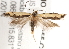  ( - BIOUG19955-C09)  @13 [ ] CreativeCommons - Attribution (2015) CBG Photography Group Centre for Biodiversity Genomics