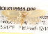  ( - BIOUG19955-D06)  @12 [ ] CreativeCommons - Attribution (2015) CBG Photography Group Centre for Biodiversity Genomics