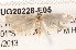  ( - BIOUG20228-E05)  @12 [ ] CreativeCommons - Attribution (2015) CBG Photography Group Centre for Biodiversity Genomics