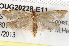  ( - BIOUG20228-E11)  @13 [ ] CreativeCommons - Attribution (2015) CBG Photography Group Centre for Biodiversity Genomics