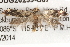  ( - BIOUG20259-C07)  @13 [ ] CreativeCommons - Attribution (2015) CBG Photography Group Centre for Biodiversity Genomics
