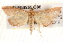  ( - BIOUG20259-G06)  @13 [ ] CreativeCommons - Attribution (2015) CBG Photography Group Centre for Biodiversity Genomics