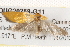  ( - BIOUG20259-G11)  @12 [ ] CreativeCommons - Attribution (2015) CBG Photography Group Centre for Biodiversity Genomics