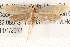  ( - BIOUG20260-D01)  @12 [ ] CreativeCommons - Attribution (2015) CBG Photography Group Centre for Biodiversity Genomics