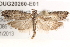  ( - BIOUG20260-E01)  @14 [ ] CreativeCommons - Attribution (2015) CBG Photography Group Centre for Biodiversity Genomics
