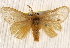  ( - BIOUG20289-C08)  @14 [ ] CreativeCommons - Attribution (2015) CBG Photography Group Centre for Biodiversity Genomics