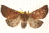  ( - BIOUG20289-D03)  @14 [ ] CreativeCommons - Attribution (2015) CBG Photography Group Centre for Biodiversity Genomics