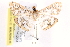  ( - BIOUG21702-A07)  @13 [ ] CreativeCommons - Attribution (2015) CBG Photography Group Centre for Biodiversity Genomics