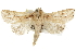  ( - BIOUG37863-H09)  @14 [ ] CreativeCommons - Attribution (2018) CBG Photography Group Centre for Biodiversity Genomics