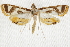  ( - BIOUG37861-F02)  @13 [ ] CreativeCommons - Attribution (2018) CBG Photography Group Centre for Biodiversity Genomics