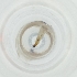  ( - WALW_021_D12)  @11 [ ] by (2023) Wellcome Sanger Institute (Genome Research Limited) Wellcome Sanger Institute (Genome Research Limited)