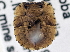  ( - CCDB-27059-E07)  @12 [ ] CreativeCommons - Attribution (2016) WAM Western Australia Museum