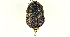  ( - CCDB-27393-F12)  @14 [ ] CreativeCommons - Attribution (2016) WAM Western Australia Museum