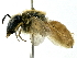  ( - CCDB-27396-B09)  @11 [ ] CreativeCommons - Attribution (2016) CBG Photography Group Centre for Biodiversity Genomics