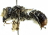  ( - CCDB-27396-C11)  @15 [ ] CreativeCommons - Attribution (2016) CBG Photography Group Centre for Biodiversity Genomics