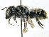  ( - CCDB-27396-E04)  @11 [ ] CreativeCommons - Attribution (2016) CBG Photography Group Centre for Biodiversity Genomics