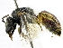  ( - CCDB-27396-E08)  @11 [ ] CreativeCommons - Attribution (2016) CBG Photography Group Centre for Biodiversity Genomics