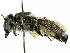 ( - CCDB-27396-H01)  @11 [ ] CreativeCommons - Attribution (2016) CBG Photography Group Centre for Biodiversity Genomics