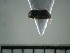  ( - USNM ENT 01014497)  @12 [ ] No Rights Reserved  Unspecified Unspecified