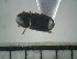  ( - USNM ENT 01014674)  @12 [ ] No Rights Reserved  Unspecified Unspecified