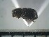  ( - USNM ENT 01014723)  @12 [ ] No Rights Reserved  Unspecified Unspecified