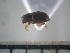  ( - USNM ENT 01014724)  @12 [ ] No Rights Reserved  Unspecified Unspecified