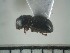  ( - USNM ENT 01014675)  @12 [ ] No Rights Reserved  Unspecified Unspecified