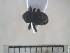  (Meroleptus - USNM ENT 01014299)  @13 [ ] No Rights Reserved  Unspecified Unspecified