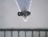  ( - USNM ENT 01014639)  @13 [ ] No Rights Reserved  Unspecified Unspecified