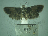  ( - USNM ENT 01014224)  @11 [ ] No Rights Reserved  Unspecified Unspecified