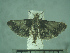  ( - USNM ENT 01014206)  @11 [ ] No Rights Reserved  Unspecified Unspecified