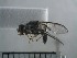  ( - USNM ENT 01014904)  @12 [ ] No Rights Reserved  Unspecified Unspecified