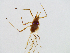  ( - MP130717AJB)  @11 [ ] CreativeCommons - Attribution Non-Commercial Share-Alike (2018) Matthew Peill Unspecified