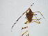  ( - MP250517STB)  @11 [ ] CreativeCommons - Attribution Non-Commercial Share-Alike (2018) Matthew Peill Unspecified