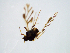  ( - MP240717BAA)  @11 [ ] CreativeCommons - Attribution Non-Commercial Share-Alike (2018) Matthew Peill Unspecified