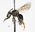  ( - CCDB-20945 E11)  @14 [ ] No Rights Reserved (2015) Cory Sheffield Royal Saskatchewan Museum