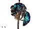  (Hedychrum - CCDB-20946 H10)  @15 [ ] No Rights Reserved (2015) Cory Sheffield Royal Saskatchewan Museum