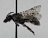  ( - CCDB-38308_D01)  @11 [ ] CreativeCommons - Attribution Share-Alike (2022) Cory Sheffield Royal Saskatchewan Museum