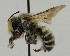  ( - CCDB-38766 B06)  @11 [ ] copyright (2021) Cory Sheffield Royal Saskatchewan Museum